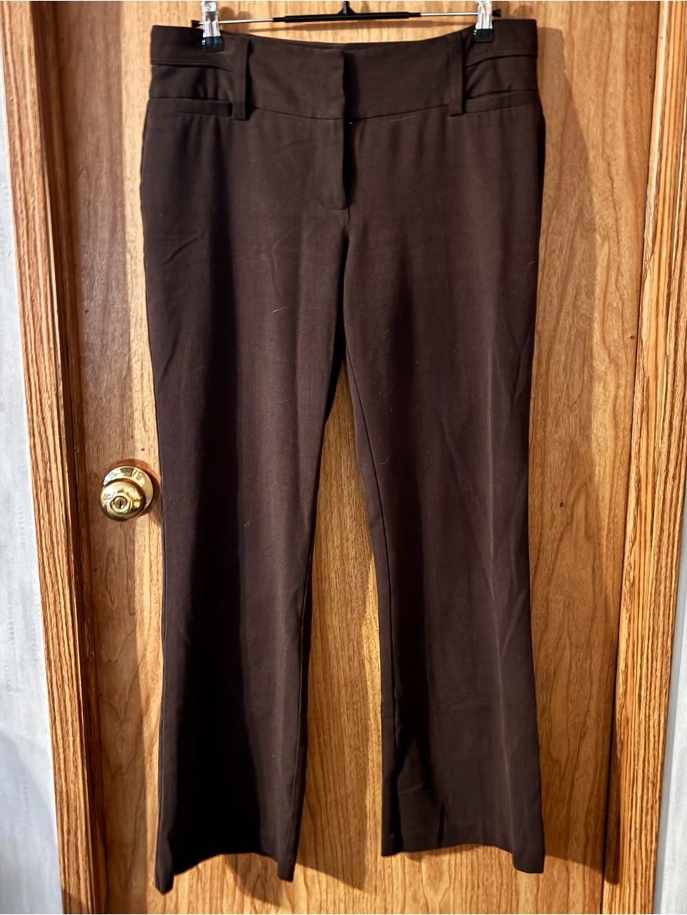 Maurices Dark Brown Boot Cut Dress Pants